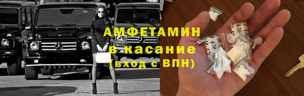 прущие грибы Нягань