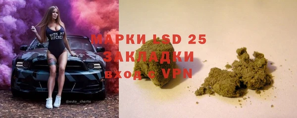 прущие грибы Нягань