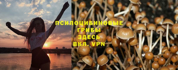 jwh Козельск