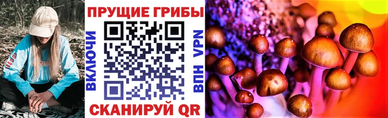 Галлюциногенные грибы Psilocybine cubensis  Калининград 
